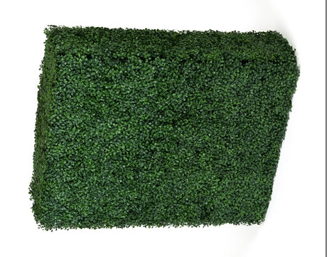 Portable Boxwood Hedge UV Stabilised 75cm High 100cm Long