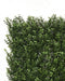 Premium Natural Buxus Hedge Panels UV Resistant 1m x 1m