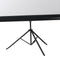 120 Inch Projector Screen Tripod Stand Home Outdoor Screens Cinema Portable HD3D