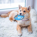 Dog Toys Aggressive Chewers - HMNXG Puppy Toys chew Toys Dog Toys for Small Dogs Rope for Medium to Large Dogs - 10 Pcs