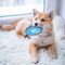 Dog Toys Aggressive Chewers - HMNXG Puppy Toys chew Toys Dog Toys for Small Dogs Rope for Medium to Large Dogs - 10 Pcs