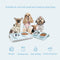 Cat Bowl Cat Food Bowl, Non-Spill Raised Cat Bowl Feeder, Double Stainless Steel Dog Bowsl, Removable / 15° Tilt Design / Easy to Clean Gift for Pet Cats and Puppies Blue