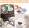 1Pc Cat Food Bowl Raised Pet Bowls Reduce Neck Pain Elevated Transparent Bowl for Cats and Small Dogs