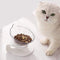 1Pc Cat Food Bowl Raised Pet Bowls Reduce Neck Pain Elevated Transparent Bowl for Cats and Small Dogs