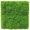 Fresh Natural Green Artificial Moss / Green Wall UV Resistant 1m x 1m
