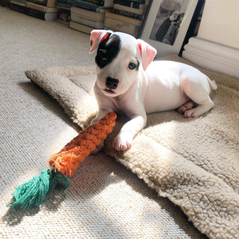 Dog Toys Aggressive Chewers - HMNXG Puppy Toys chew Toys Dog Toys for Small Dogs Rope for Medium to Large Dogs - 10 Pcs