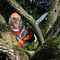 BLACK+DECKER 18V Lithium-Ion 25cm Chainsaw Kit 2.0Ah 18V Chainsaw