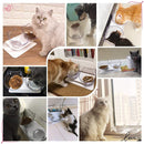 1Pc Cat Food Bowl Raised Pet Bowls Reduce Neck Pain Elevated Transparent Bowl for Cats and Small Dogs