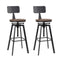 Artiss Set of 2 Rustic Industrial Style Metal Bar Stool - Black and Wood