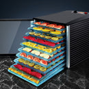 Devanti Commercial Food Dehydrator with 10 Trays