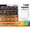 Devanti Commercial Food Dehydrator