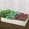 Greenfingers 2x Galvanised Steel Raised Garden Bed Instant Planter Cream 150cmx90cm