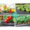 Greenfingers 160X80X42CM Galvanised Raised Garden Bed Steel Instant Planter