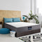 Giselle Bedding Elastic Foam Mattress - Single