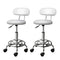 Artiss 2X Saddle Salon Stool Swivel Backrest Chair Barber Chair Hydraulic Lift