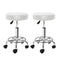 Artiss 2X Salon Stool Swivel Round Barber Hair Bar Stools Hydraulic Lift White