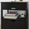 CARLA HOME Black Bedside Table with 2 Drawers