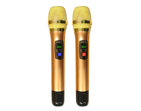 Precision Audio 800W Portable Bluetooth Karaoke Speaker Wireless Mics LG101P