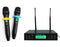Twin Channel Professional Wireless Microphone System Dual XLR Out MIC24