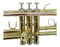 Bb Trumpet Phosphorus Copper Student Intermediate