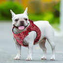 Floral Doggy Harness Red M