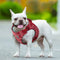 Floral Doggy Harness Red M