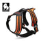 Reflective Heavy Duty Harness Orange XL