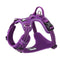 No Pull Harness Purple XS