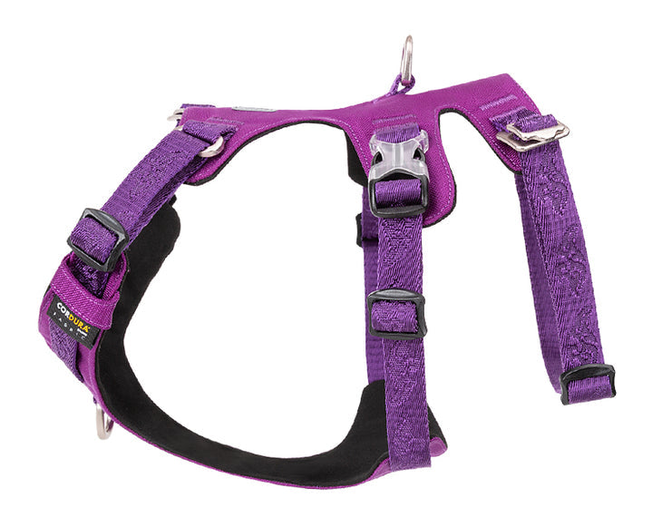 Whinhyepet Harness Purple 2XS