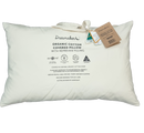 Dreamaker Organic Cotton Covered Pillow with Repreve