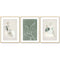 50cmx70cm Abstract body and leaves 3 Sets Gold Frame Canvas Wall Art
