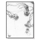 50cmx70cm Jellyfish Black Frame Canvas Wall Art