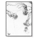 60cmx90cm Jellyfish Black Frame Canvas Wall Art