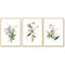50cmx70cm Green and Gold Watercolor Botanical 3 Sets Gold Frame Canvas Wall Art