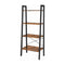EKKIO 4-Tiers Metal Wood Ladder Shelf EK-WBS-101-YXH