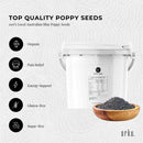 3.5Kg Poppy Seeds Bucket Blue Unwashed 100% Australian Food Cook Baking Mineral