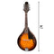 Karrera Traditional Mandolin - Sunburst