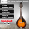 Karrera Traditional Mandolin - Sunburst