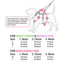 Banhamsisun L Dog Double-Lined Straps Harness and Lead Set Leash Adjustable No Pull