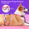 Banhamsisun S Dog Double-Lined Straps Harness and Lead Set Leash Adjustable No Pull