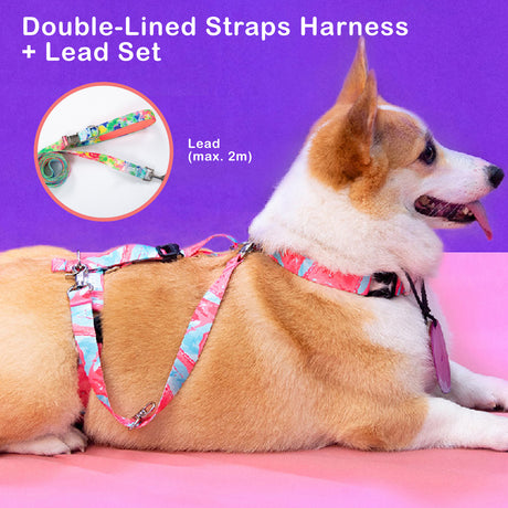 Banhamsisun S Dog Double-Lined Straps Harness and Lead Set Leash Adjustable No Pull