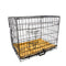 Paw Mate Wire Dog Cage Foldable Crate Kennel 36in withTray + Cushion Mat Combo