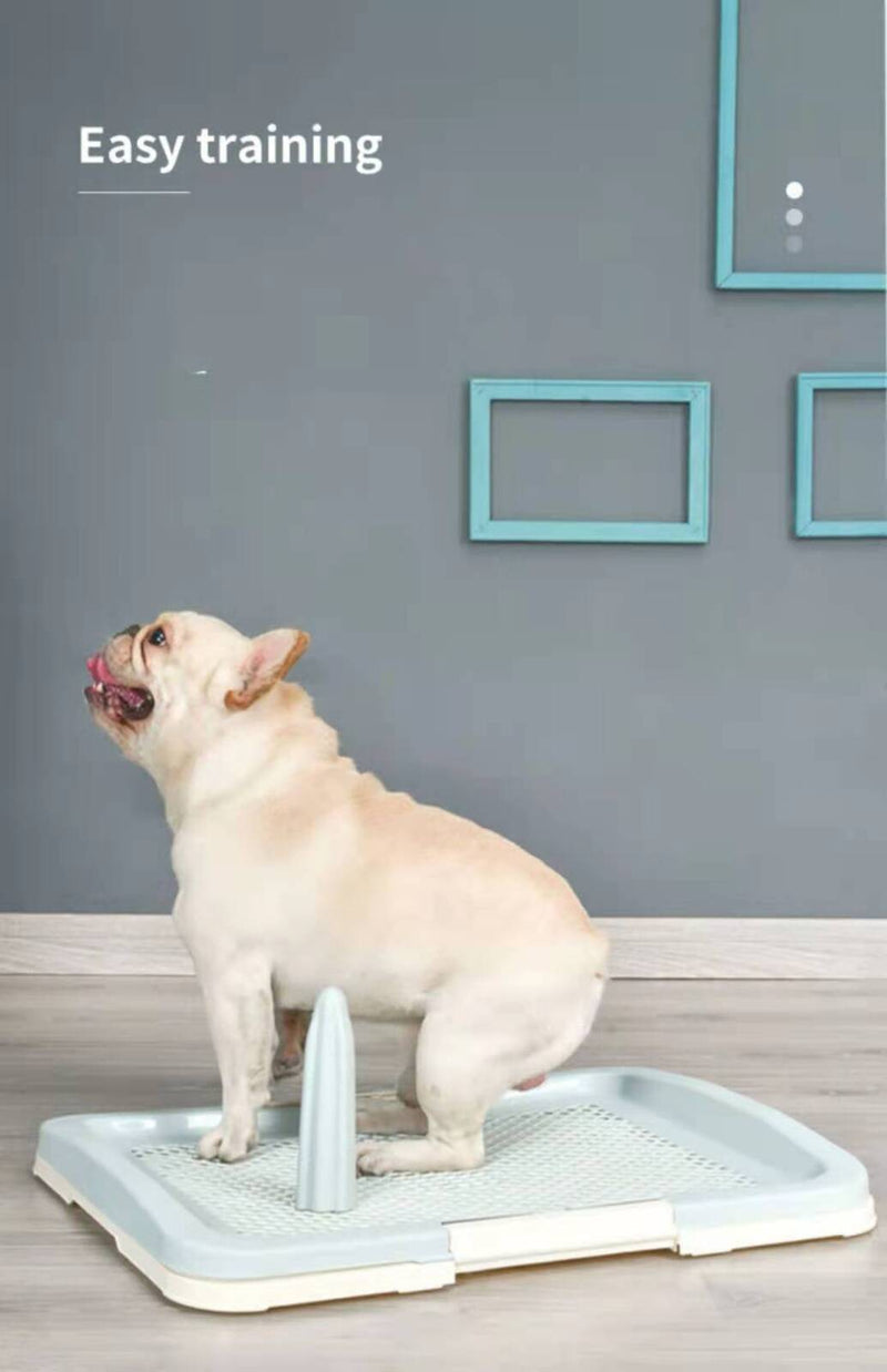 Medium Portable Dog Potty Training Tray Pet Puppy Toilet Trays Loo Pad Mat