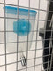 Pet Hanging Water Bottle No Drip Water Dispenser Rabbit Dog Cat Drinking Bottle-Blue