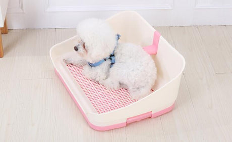 Medium Portable Dog Potty Training Tray Pet Puppy Toilet Trays Loo Pad Mat With Wall Pink