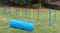 Portable Dog Puppy Training Practice Weave Poles Agility Post Exercise Tunnel Jump Tyre Set