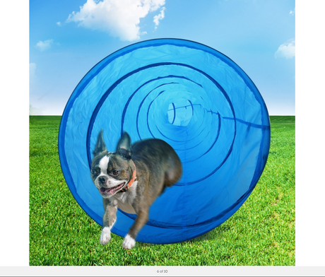 Portable Pet Dog Agility Training Exercise Cat Tunnel Chute with Carry Bag 5.5M
