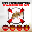 SAS Pest Control 48PCE Mouse Rat Traps Reusable Indoor/Outdoor 9.6 x 5.4cm