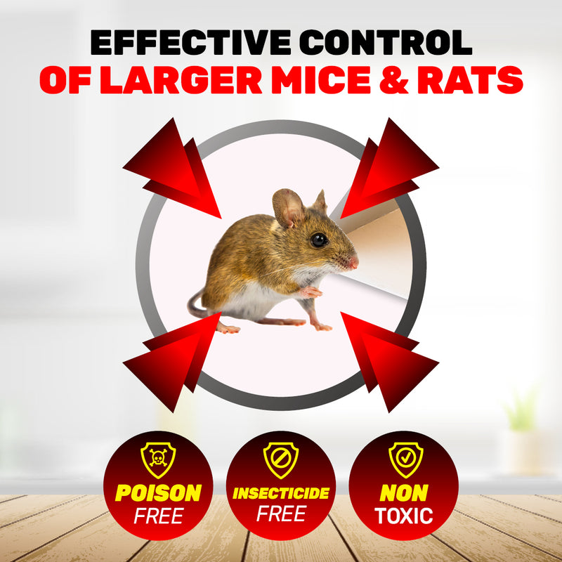 SAS Pest Control 24PCE Rat Traps Reusable Indoor/Outdoor Metal 16cm