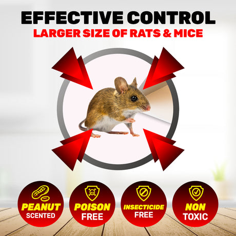 SAS Pest Control 48PCE Mice Rat Traps Peanut Scented Poison Free Non-Toxic